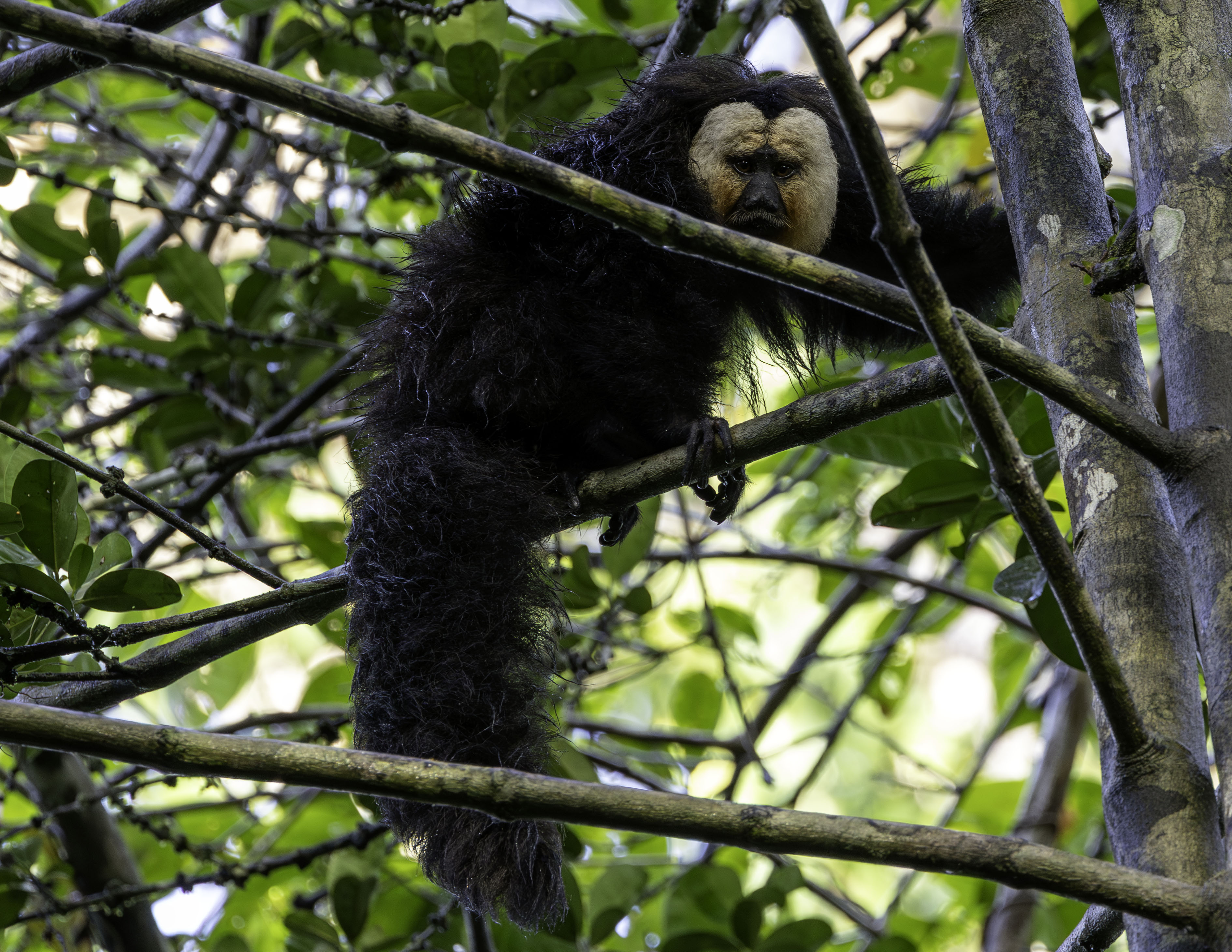 2026 Wildlife Calendar